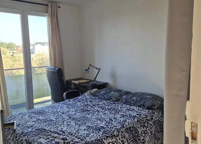 Апартаменты Lumineux Avec Balcons Et Tram Au Pied